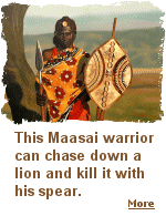 Although lion hunting has been banned in East Africa, lions are still killed when they attack Maasai livestock.